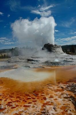 I miss Yellowstone!  This is Castle Gyser.