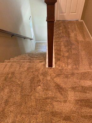 Fresh Carpets