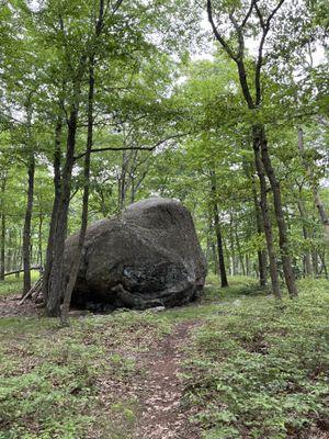 Random rock on a short hike nearby