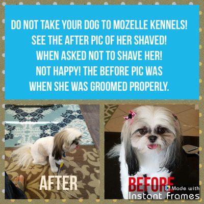 Mozelle Kennels