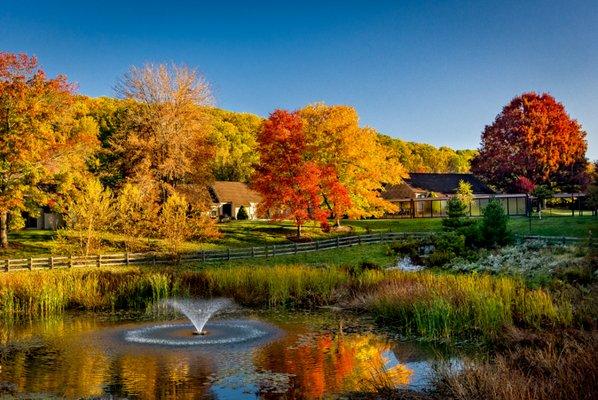 Broadmead in the Fall