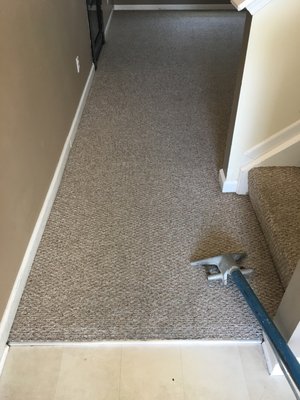 Holbrooks Carpet Cleaning