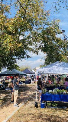 Market views in park