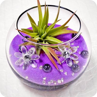 oopsie daisy terrarium - just in time for spring. a lovely gift for any occasion!