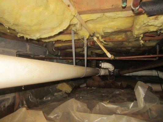 Crawlspace, Yes we inspect them!