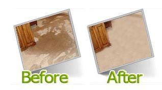 Carpet Cleaning Sachse