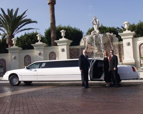 Beautiful Limousines and Sedans