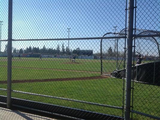 Canby Cougar Baseball