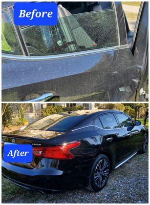 Nissan Maxima Platinum before and after