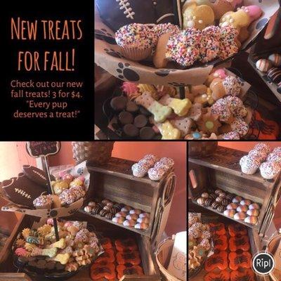 New fall treats