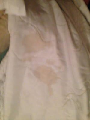 Fat cum stain on sheets