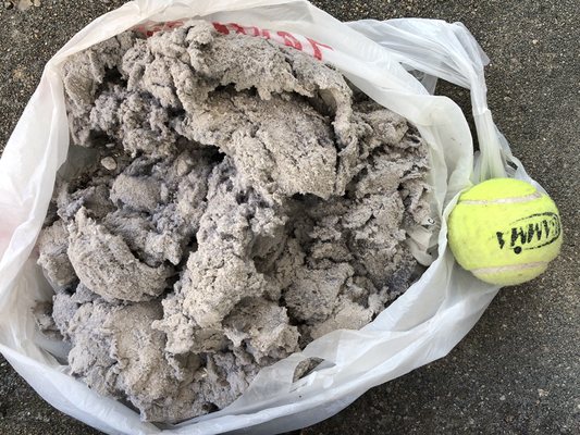 After a dryer vent cleaning.  This is what was pulled out of one customer's vent.  Tennis ball is for size.