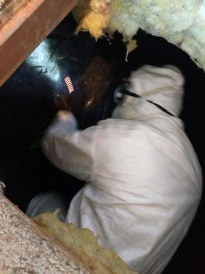 I do crawl space inspections checking several components found under the home.