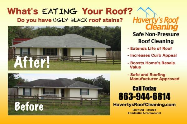 Haverty's Roof Cleaning