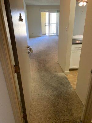 Carpet cleaning