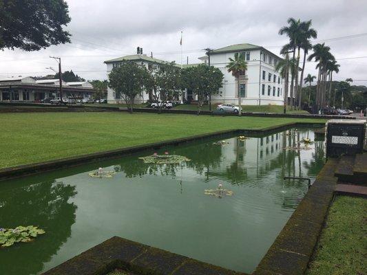 Lotus Pond