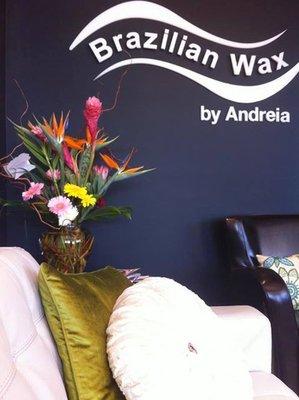 Brazilian Wax by Andreia - 1230 Powers Ferry Road