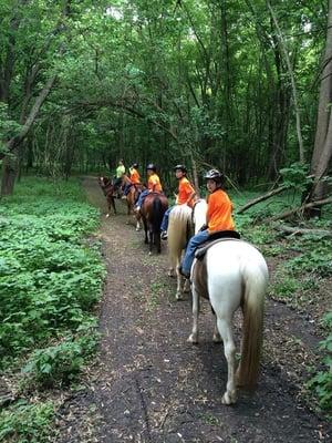 Trail Ride