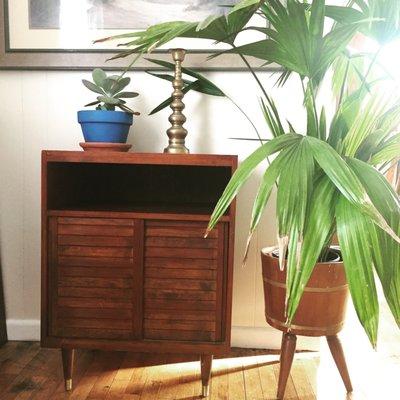 Mid_Century Furniture !