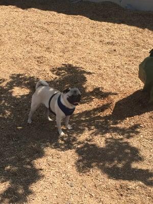 getting some shade