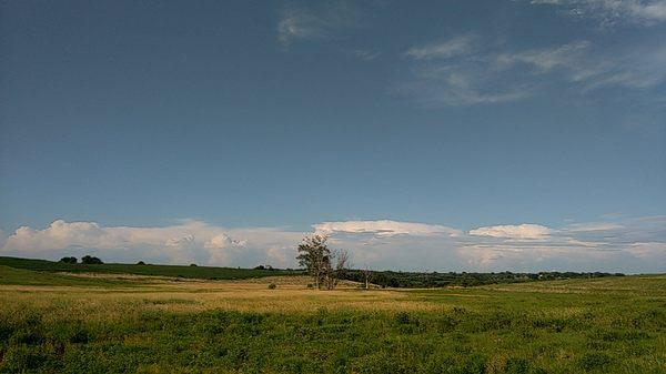 View from the barn to the open prairie​ grass.