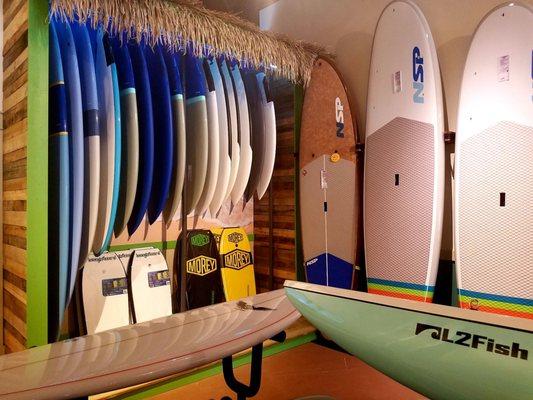 Channel Island, Sharpeye, NSP, Softech, Savage and Stewart Surfboards Plus, Live Watersports, Red Paddle Co and NSP Paddleboards.