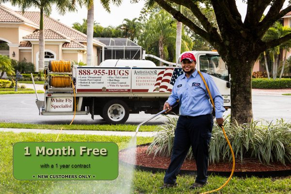 One month FREE service with 1 year contract.