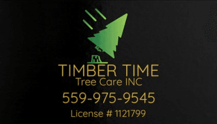 Timber Time Tree Care