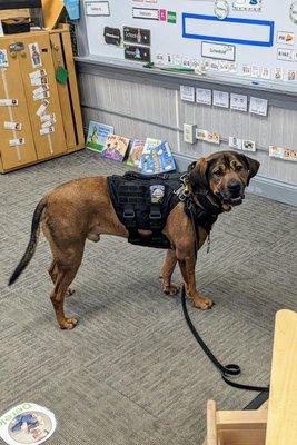 A special K9 visit!