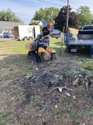 Stump grinding