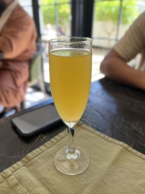 Mimosa