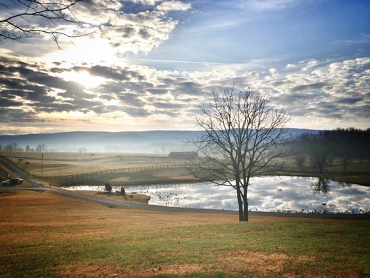 Beautiful views of the Shenandoah Valley!