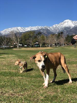 Nice view of the mountains/photo op