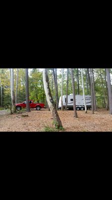 Site 36 on the Neversink River