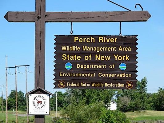 Perch River Wildlife Management Area