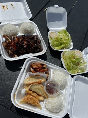 Chicken & Beef and chicken and gyoza ( $28 total before tip)