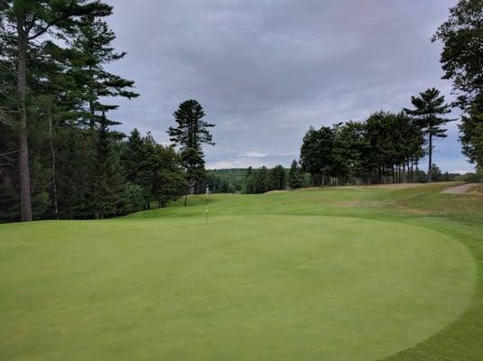 Hole #7 from the green back to the tee. Beautiful hole. One of the toughest tee shots from the black tees.