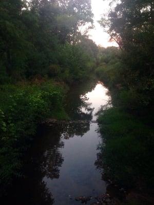 Small creek in the park.