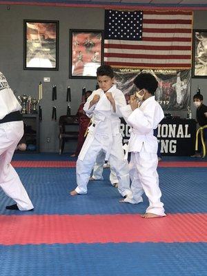 Young champions of Mixed Martial Arts