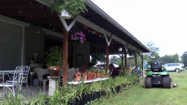 The veranda at Thompson's Blueberries where kid eat their free freeze pop.