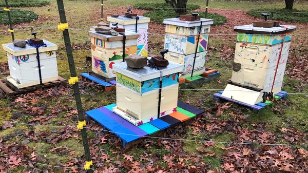 Huskees&Bees Apiary 2021