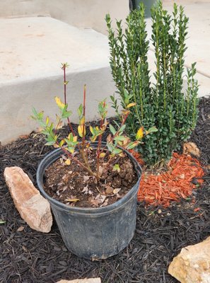 Sand Creek Nursery