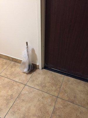 Toilet plunger left by a room door