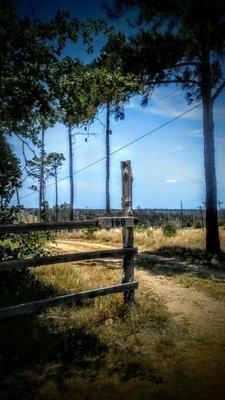 Spring Hollow 2 acres between Bastrop and Smihville.  Option to buy more land.  Stone House 1600 sq ft