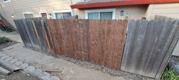 Fence repairs