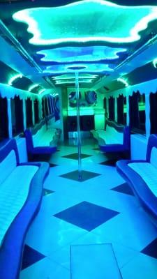 45 passenger party bus