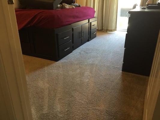 Pro Clean Carpet Care & Janitorial Service