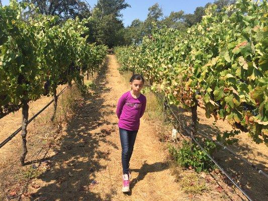 Our next winemaker getting a look at our crop