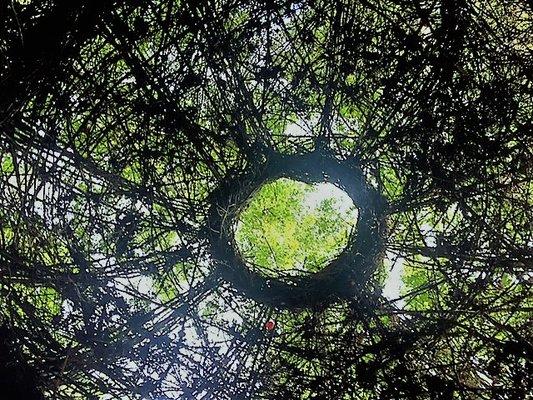 Remember to gaze up at the canopy of trees above the gazebo