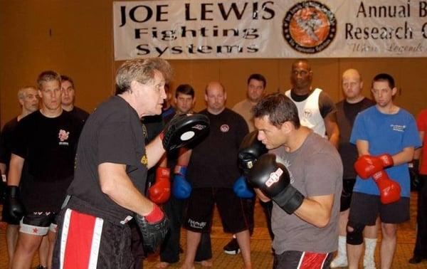 Joe Lewis Fighting Systems